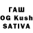 Галлюциногенные грибы GOLDEN TEACHER Aidan Low