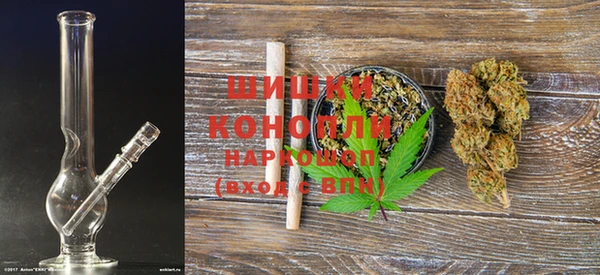 spice Вяземский